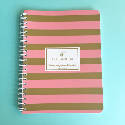 Blush Pink and Gold Stripes Mini Notebook