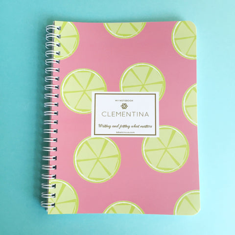 Pink Lemonade Mini Notebook
