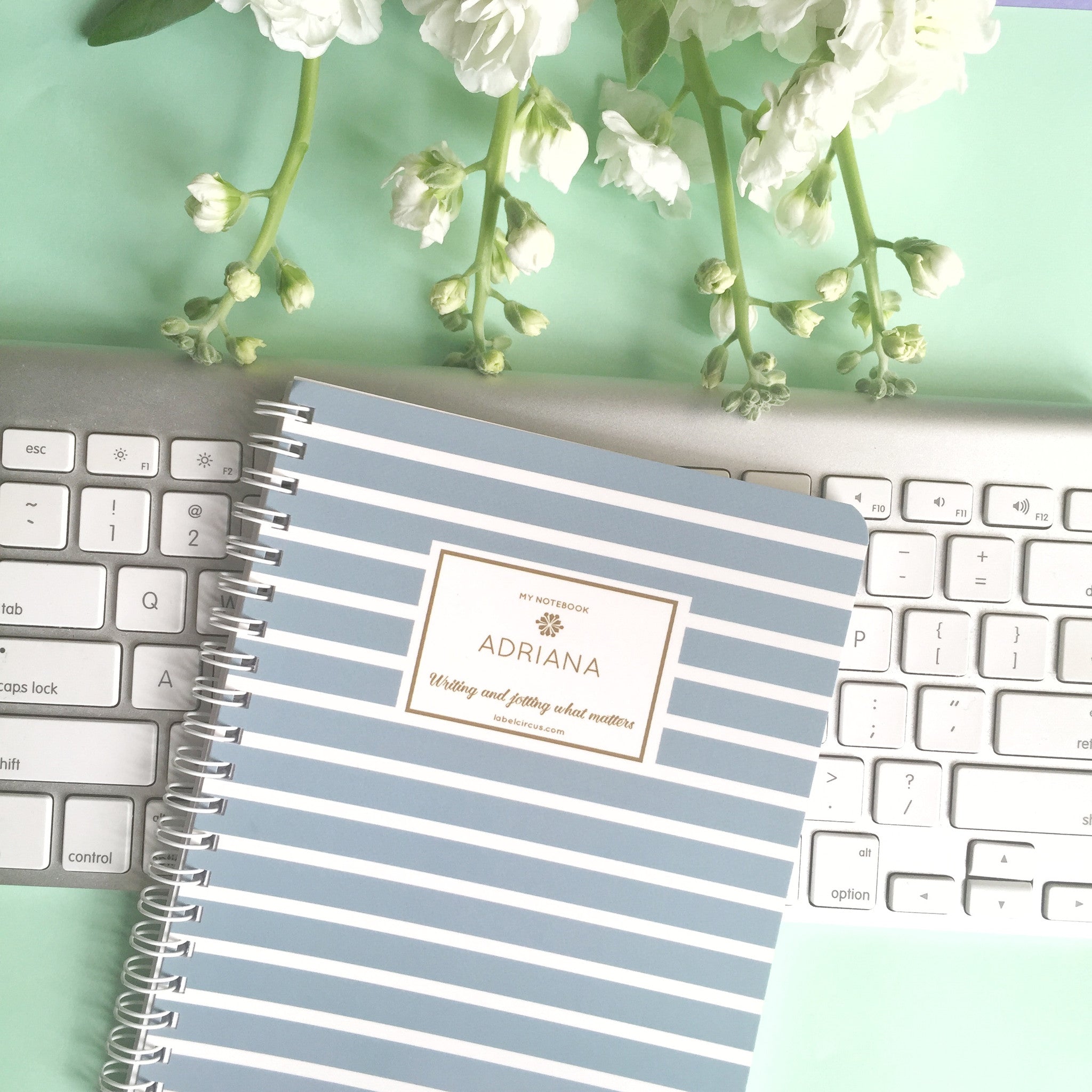 Powder Blue Stripes Mini Notebook | Label Circus