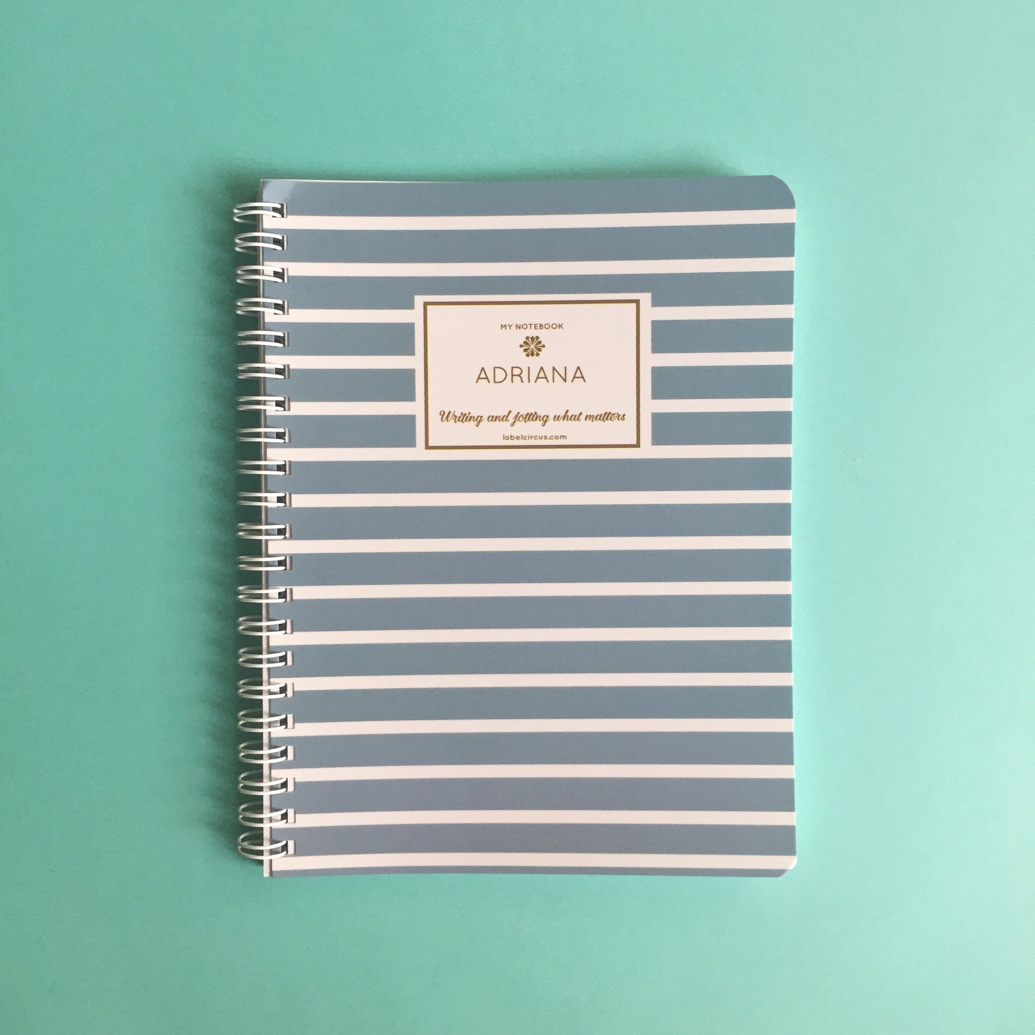 Powder Blue Stripes Mini Notebook | Label Circus