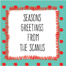 Polka Zig Zag Christmas Label