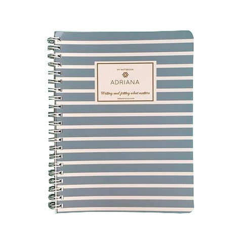 Powder Blue Stripes Mini Notebook